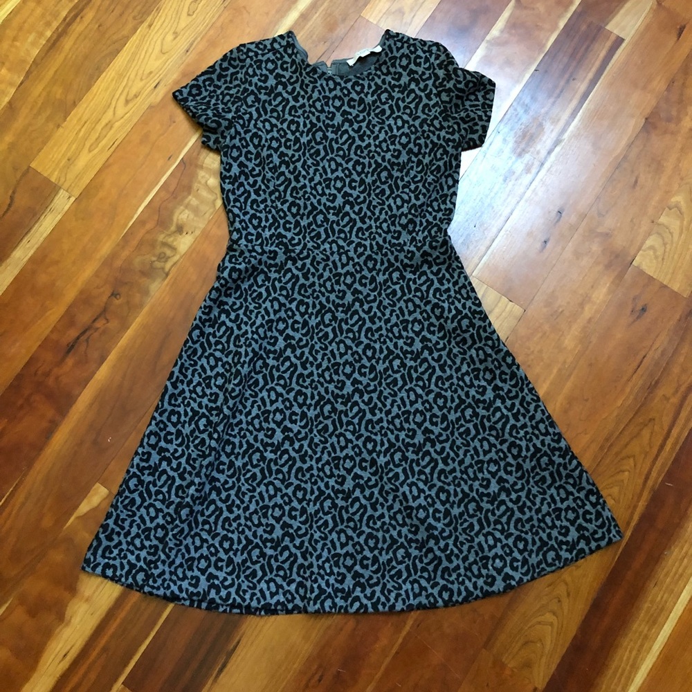 COPY - Ann Taylor The Loft leopard print dress
